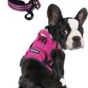 BUMBIN Dog Harness for Large Dogs, No Pull Adjustable No Choke Pet Vest with Dog Leash Fit Smart Reflective Pet Walking Harness for Training Easy Control Soft Handle Rose Red M
