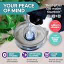 Brook Glass Pet Fountain (90oz/2.7L) Cat & Dog Water Fountain Glass Cat Fountain & Automatic Water Dispenser for Drinking