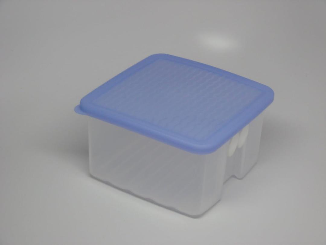 Tupperware Fridgesmart, Small