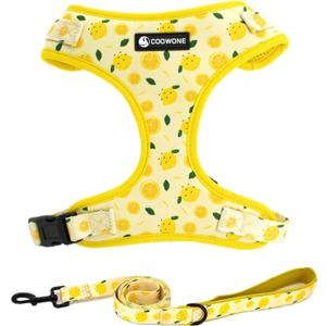 Dog Harness and Leash Set, Adjustable Dog Harness, Dog Leash, No Pull No Choke Puppy Harnesses for Walking Training for Small, Medium, Large Pet (Lemon, S(Chest 13-19", Neck 9.5-13.1"))