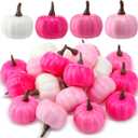 Thyle 24 Pcs Mini Artificial Pumpkins Bulk Fall Foam Pumpkins Thanksgiving Fake Harvest Ornaments Decoration for Autumn Halloween Party Centerpiece Home Decor Crafts (Pink Series)