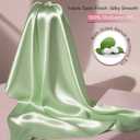 2 x Mulberry Silk Pillow Cases with Zipper, Ultra Smooth Soft Breathable Cooling Pillow Cases for Hot Sleepers, Silk Satin Pillowcase for Hair and Skin, Gifts for Women (Sage Green, Standard Size, 1 Pack) (Standard - 2026 Inch)