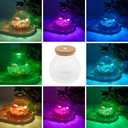 Round Glass Jar Storage Container, Plant Terrarium Display Glass, Moss Ball Bud Vases Jars, Easter Candy Jar Kitchen Canisters with Lid, for DIY Party Mason Jars Crafts Christmas Decoration (L)