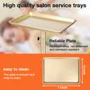 Salon Tray on Wheels, Champagne Gold Salon Tray Cart with Adjustable Height, Hair Stylist Tray, Metal Tattoo Tray, Suitable for SPA and Dental Tray