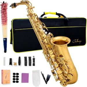 Alto Saxophone Eb beginner Saxophone includes brush canvas suitcase glove whistle piece cork plaster wipe cloth neck strap and other accessories (Gold)