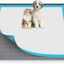 Pee Pad Holder for Dogs,Silicone Dog Puppy Pad Holder, 34 x 28 No Spill Raised Lip High Edge,Portable, Leak-Proof Mat Holder for Dog Training Pads,Square Potty Trays for Home Floor Protection