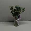 Briful Artificial Eucalyptus Stems in Glass Vase with Faux Water, 14" Fake Plant Eucalyptus Leaves for Home Bathroom Office Farmhouse Wedding Centerpiece Dcor (Clear)