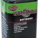 Interstate Batteries 6 Volt Battery, HD Lantern Battery (DRY1403)