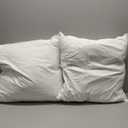 BHZ Euro Throw Pillow Inserts, 22x22 Down Feather Alternative Pillow Inserts Set of 2, Decorative Soft Large Square White Throw Pillows Insert for Couch Bed Dorm Sofa with Breathable Cover