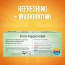 Twinings Pure Peppermint Herbal Tea Individually Wrapped Bags, 100 Count (Pack of 1), Fresh Minty Flavour, Naturally Caffeine-Free, Enjoy Hot or Iced, 100 Teabags (EXP 04/08/29)