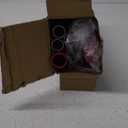 DSV Standard Window Squeegee, 2-in-1 Window Cleaner with 55" Extension Poles, Window Washing Kit, Glass Door Cleaner, Multi-Use Car Windshield Cleaning Tool with Long Handle for High Outdoor Windows