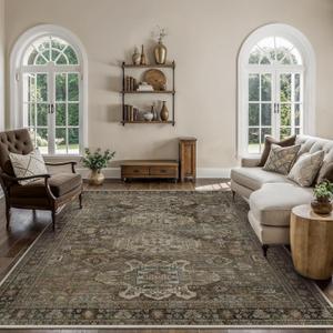 Bavni Washable Rugs 8x10 Area Rug for Living Room Bedroom, Print Vintage Aesthetic Chenille Carpet Rug, Ultra-Thin Low Pile Rugs for Dining Room Home Office with Non Slip Backing, Sage