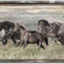 Horse Pictures Wall Art Framed Running Horses Handcrafts Rustic Sturdy Framed Artwork living roomTextured wall art(60"30")