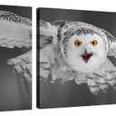 Black and White Barn Owl Wall Art Canvas Bird Decor Red Beak Owl Pictures on Wall Art for Home Office Decorations Living Room Bedroom and Kitchen Decor 3 Pcs Framed Canvas Prints 12X12inches (12x12inchx3pcs(30x30cmx3pcs), Red Beak Owl Wall Art)