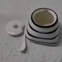 CHOOLD Vintage Hand-Painted Ceramic Spice Jar with Lid Spoon Seasoning Box Condiment Pots Spice Racks for Kitchen Restaurant Housewarming Gift (Stripes)