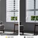 Persilux Cordless Zebra Blinds for Windows (45" W X 64" H, White) Free-Stop Roller Windows Shades Dual Layer Light Control for Day and Night, Light Filtering Sheer Shades for Home, Easy to Install