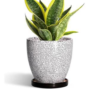 EPFamily Ceramic Planter - 6 Inch Plant Pot for Indoor Ourdoor Plants, Round Succulent Planter, Decorative Flower Pots with Drainage Hole and Saucer, Home Desk Decor, Housewarming Gifts, White-Black