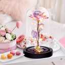 Childom Mothers Day Flowers Gifts for Mom Grandma,Birthday Gifts for Women,Valentines Gifts for Her,Mom,Women,Wife,Grandma,Light Up Rose in Glass Dome,Colorful Rainbow Mothers Day Flowers for Delivery