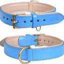 Genuine Leather Dog Collar | Full Grain, Heavy Duty, Comfortable, Padded, Strong | Best for Pups, Small, Medium, Large & XL Breeds (Large (Fit Neck Size 18.5"-22.5"), Blue)