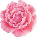 Mujiang 3D Peony Flower Cake Decorating Silicone Jello Sugar Chocolate Fondant Molds