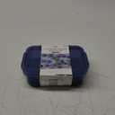 FF Alta Food Storage Container 31.1oz Blue