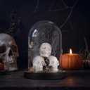 Halloween Decorations Indoor, Lighted Skull in Plastic Dome Cloche with Bat, Gothic Decor Cute Spooky Halloween Ghost Decor for Tabletop Mantel Display