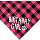 Dog Birthday Party Decoration Set, Buffalo Plaid Bandana, Party Hat, Bow Tie, Pink and Blue