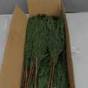 Preserved Real Pine Leaves Branches, 17'' Natural Pine Needles Green Plants, 3.5 OZ Greenery Twigs Stems, Evergreen Picks for Christmas Garland Wreath Home Wedding Decor Floral Arrangements