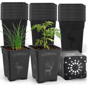 36 Pack 5.5 Inch Square Nursery Pots, Plastic Flower Pots with Drainage, Plant Pots for Plants, Reusable Planting Pots Planter for Seedlings, Transplanting & Indoor Use