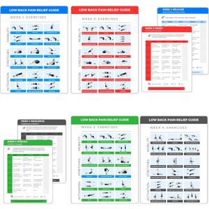 4-Week Low Back Pain Relief Workout, Easy-to-Follow Exercise Guide with Structured Weekly Program