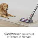 Dyson V15 Detect Pro Cordless Vacuum
