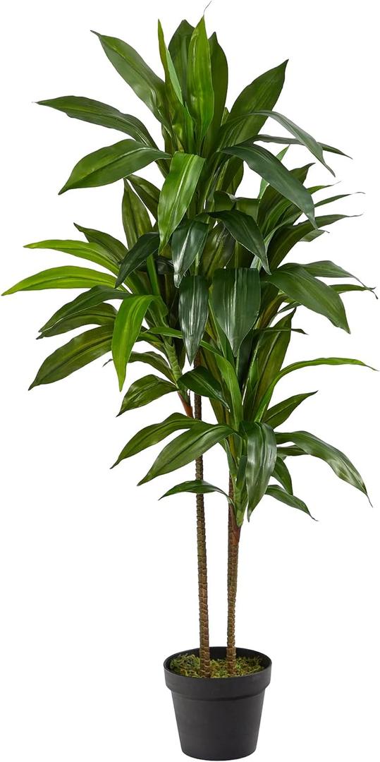 Nearly Natural 48in Artificial Dracaena with Real Touch Leaves and Multi Tonal Trunks, Large Indoor Silk Plant with Pot, Maintenance Free For Living Room And Home Office Decor