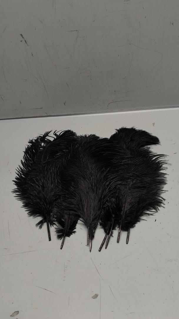 Bulk Black Ostrich Feathers, 8 pieces