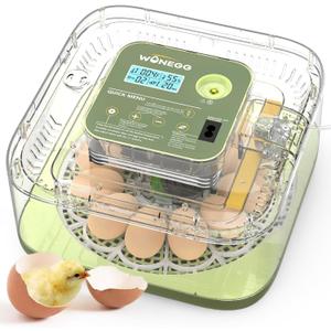 12 Egg Incubator with Automatic Egg Turning and Humidity Control, LED Egg Candling Light, Customized Incubation Days, Incubators for Hatching Eggs, Chicken Quail Parrot Pigeon Birds, Green