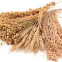 Hamster Organic Sprays Set = Wheat + Flax + Yellow Millet + Panicle Millet, Pet Habitat Bedding Decor, Natural Hamster Chews Accessories Supplies, for Gerbil, Mice, Guinea Pig, Chinchilla (4 Kinds of Grains)