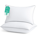 Sasttie Pillows Queen Size Set of 2, Bed Pillows for Side, Back, and Stomach Sleepers - Oeko-Tex Certified Down Alternative Plump Filling - Hotel Quality and Machine Washable, 20x30 Inches, 2 Pack