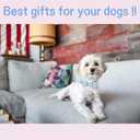 Unique style paws Easter Day Dog Collar with Bow Tie Blue Pink Grid Puppy Collar for Small Medium Large Boys Girls-XS
