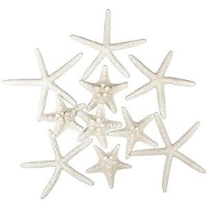 Jangostor 12 PCS Starfish 2-6 Inch Mixed Starfish Natural Seashells Starfish Star Fish Shells Decorations Perfect for Wedding Decor Beach Theme Party, Home Decorations, DIY Crafts, Fish Tank