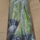 Jexine 4 Pcs 4 ft Tall Artificial Grass Plant Potted Artificial Greenery Floor Plants Faux Pampas Grass Tall in Pot for Housewarming Gift House Garden Bathroom Lobby Outdoor Decoration
