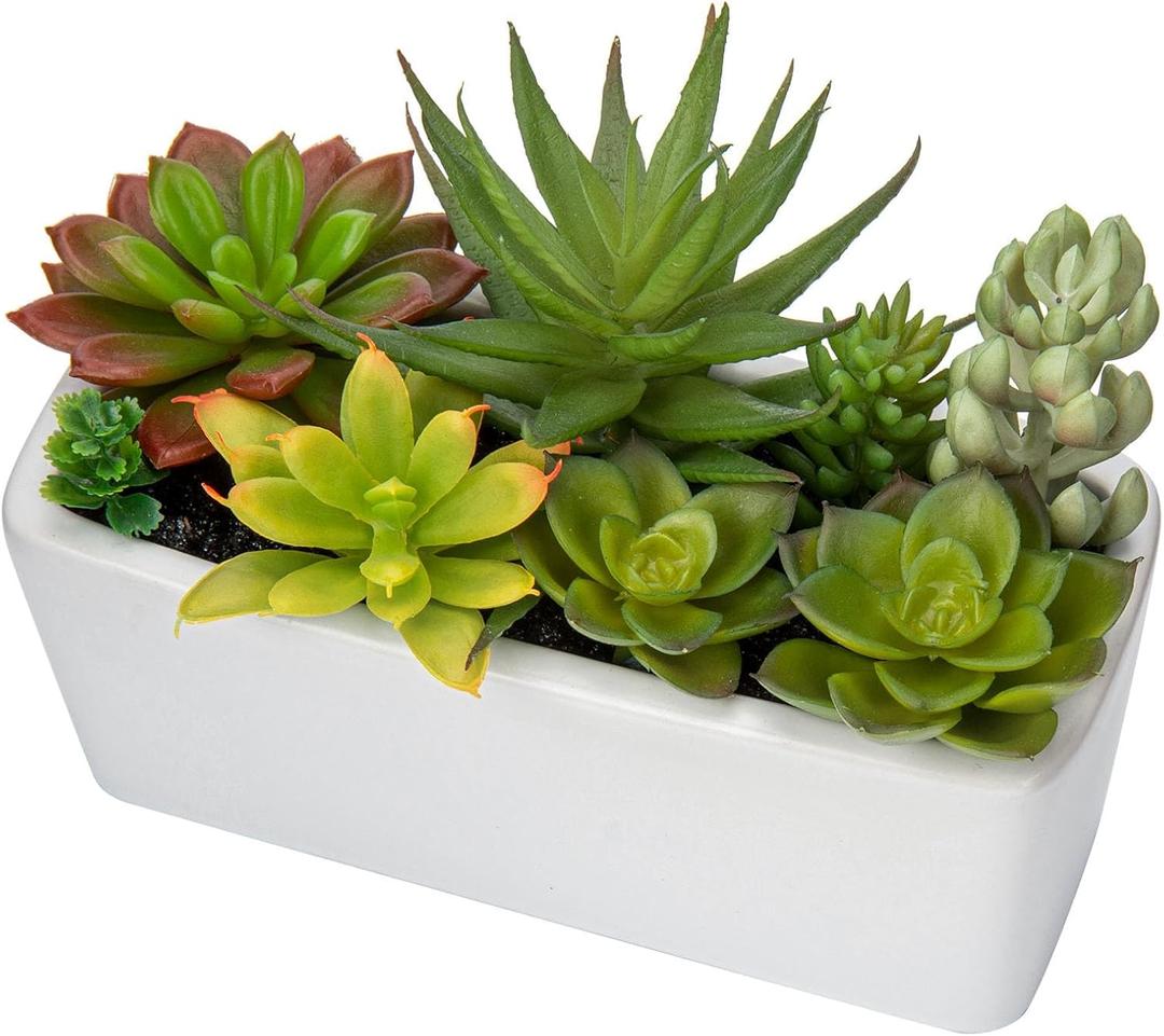 Artificial Succulents Plants in Ceramic Planter Assorted Faux Succulents in Pots Arrangement Fake Succulent Potted Plant for Home Office Desk Bathroom Shelf Living Room Indoor Outdoor Decor - Black (White#1)