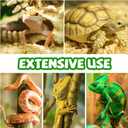 QUOZUO Reptile Tank Accessories, Artificial Plants Vines and Flexible Leaves With Suction Cups, Crested Gecko Tank Long Vines Hide for Climbing, Chameleon, Lizards