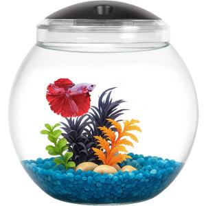 Koller Products 1-Gallon Globe Fish Bowl, Impact- Resistant Plastic Aquarium Starter Kit with LED Lighting, Built-in Timer, Crystal-Clear Clarity, Desktop Fish Tank for Home Dcor