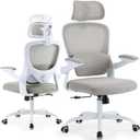 Ergonomic Office Chair with Tilt-Lock, Home Office Desk Chair with Auto Lumbar Support, High Back Mesh Desk Chair with Adjustable Headrest, Swivel Task Chair or Study Room Bedroom, Light Gray, Pack of 1