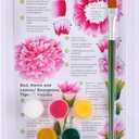 FolkArt, Carnation One Stroke Beginner Painting Kit, Includes 5 Colors, 1 Flat Brush, and a Reusable Teaching Guide