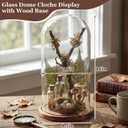 AceOrbit 16 Inch Glass Dome Cloche Display with Wood Base, Clear Tall Glass Dome, the Bell Jar Clear Cloche for Plants, Curios, Keepsakes, Heirlooms (8.66''16'')