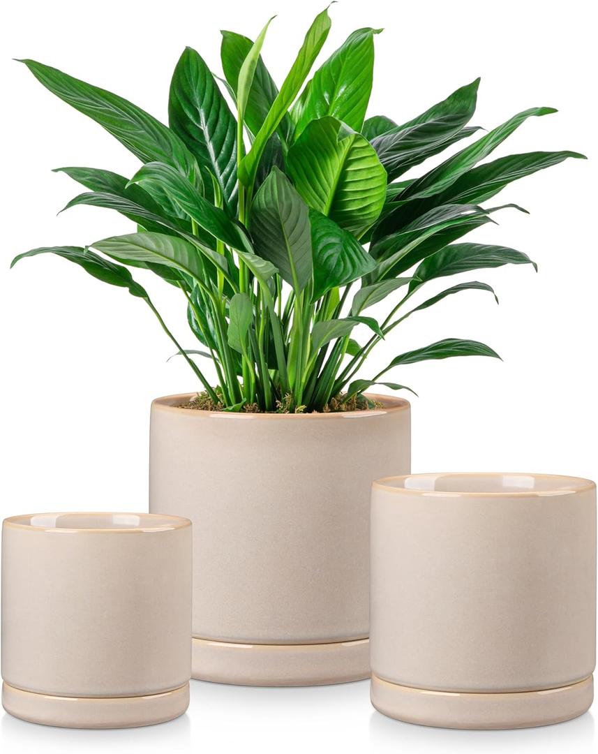 Vancasso Ceramic Plant Pots, 3 Piece Planters for Indoor Plants, 4.25+5.25+6.25 Inch Flower Pots with Drainage, Plant Pots Indoor for Succulent, Pothos, Snake Plant and Money Tree (Gray)