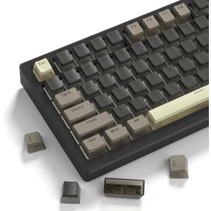 Womier PBT Shine Through Keycaps for Mechanical Keyboard, Pudding Keycaps 60% 75% 100% Keyboard 143 Keys, Custom Keycap Set OEM Profile for Gateron Cherry MX Switches,Grey Brown-Only Key caps