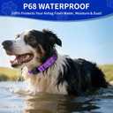 2 x AirTag Dog Collar, IP68 Waterproof Air Tag Dog Collar Holder, Reflective, Ultra-Durable, Comfortable Padded, Heavy Duty Dog Collars for Small Medium Large Dogs-Purple-L
