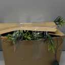 2PCS 6Ft Artificial Norfolk Pine Garlands, Real Touch Winter Christmas Garland, Green Artificial Greenery Garland for Table, Mantle, Wall, Indoor, Outdoor Christmas Decorations (2, 6FT)