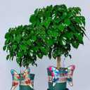 Metal Glass Butterfly hanging decor with Hook , Cute Insect Pot Percher,Flying Colorful Butterfly Garden Yard Planter Decoration and Window Ornament, 3 OF SET